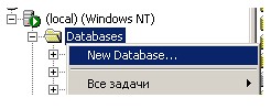 Создание новой базы данных. Ветка 'Databases'