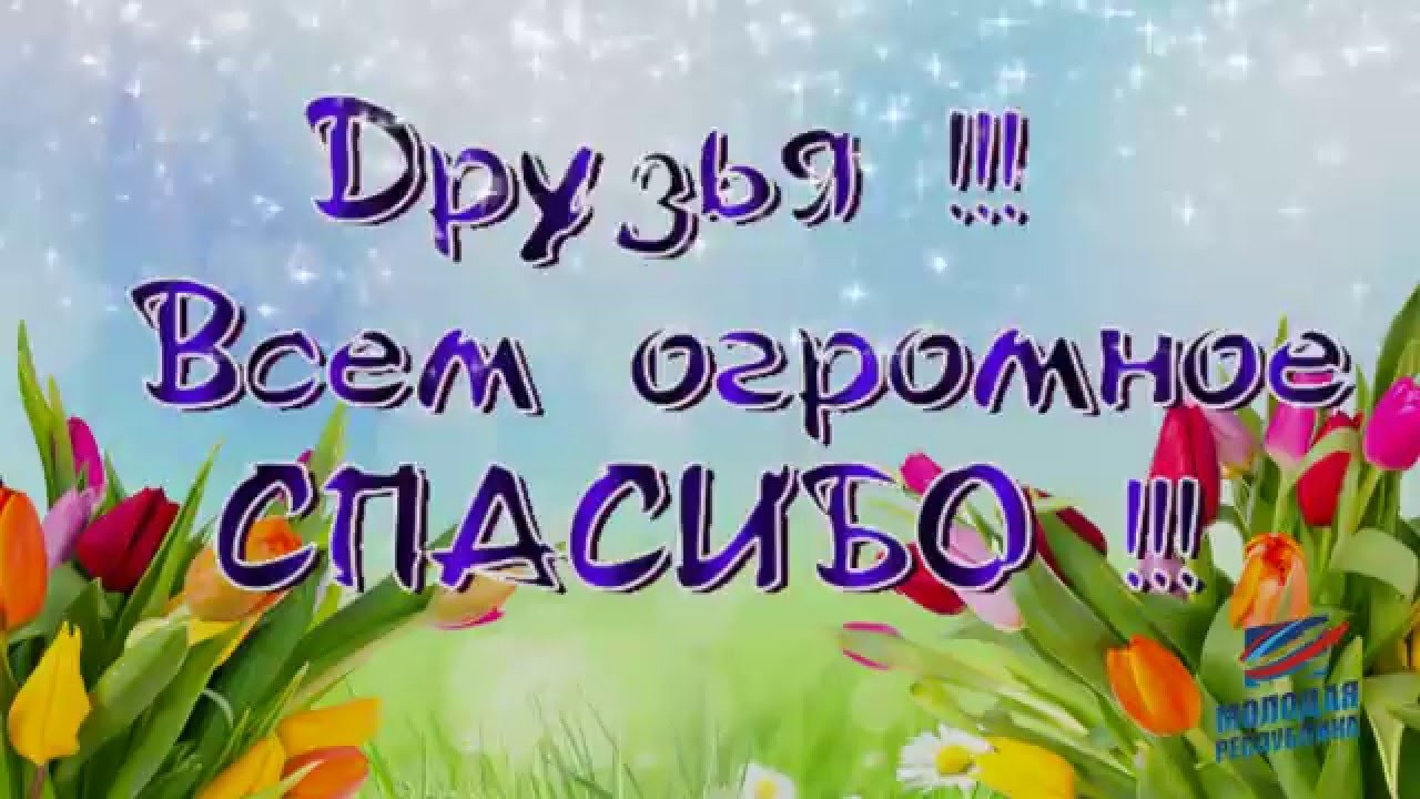 Праздники дня спасибо Праздники дня спасибо