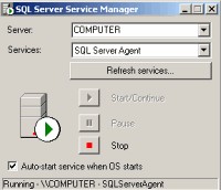 Окно программы 'Service Manager'