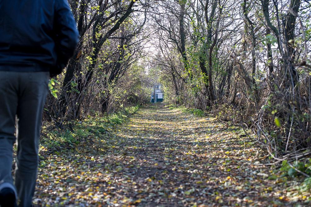 Погода в геймановской краснодарского. Станица Геймановская. Геймановский лес. Хеймановская Лена Тбилиси. Алексей Коломбет ст.Геймановская Краснодарский край.